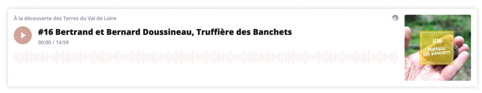 Visuel du podcast à la découverte des terres du Val de Loire. Bertrand et Bernard Doussineau, truffière des Banchets