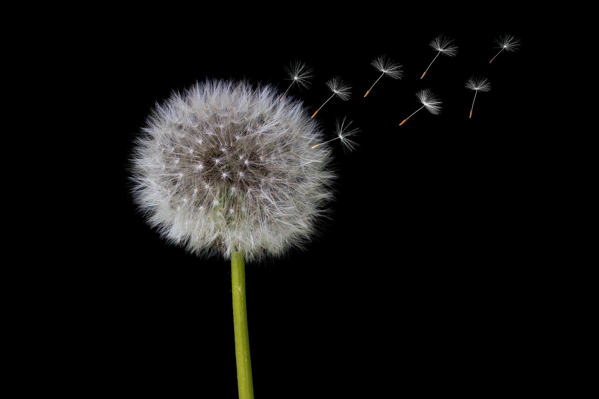 Les 5 principes d’une communication responsable
